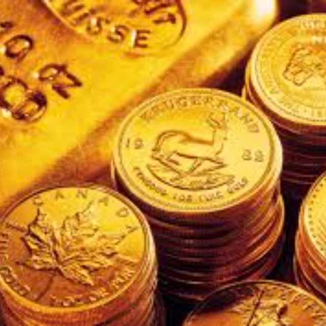 Gold-Silver-Coin-Collector
