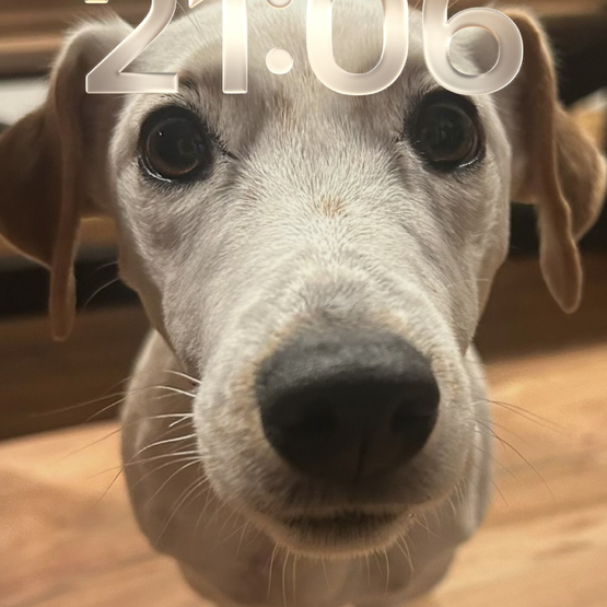 Johann