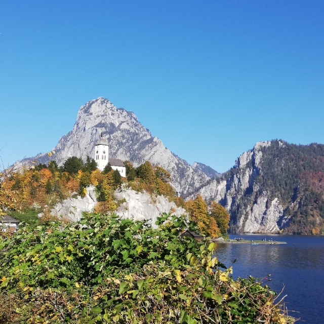willnichtmehrhaben