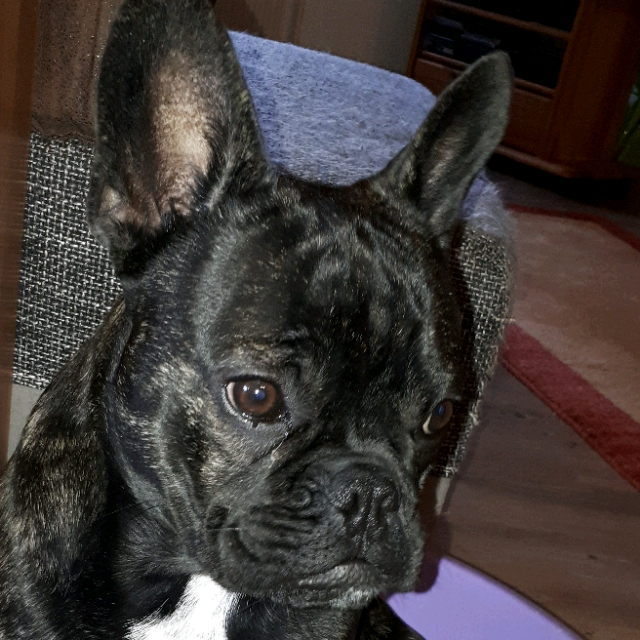 Edith
