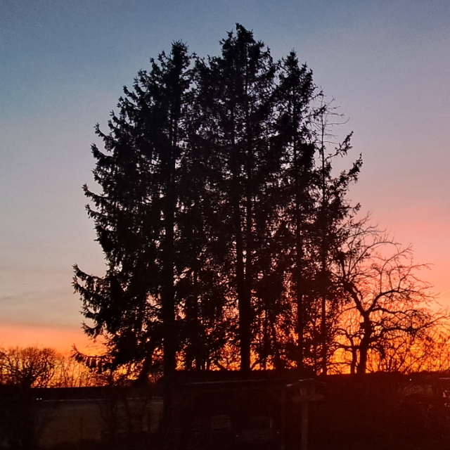 Phönix