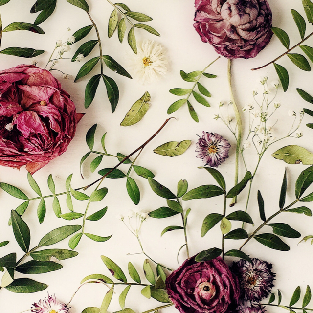 M. M. K.