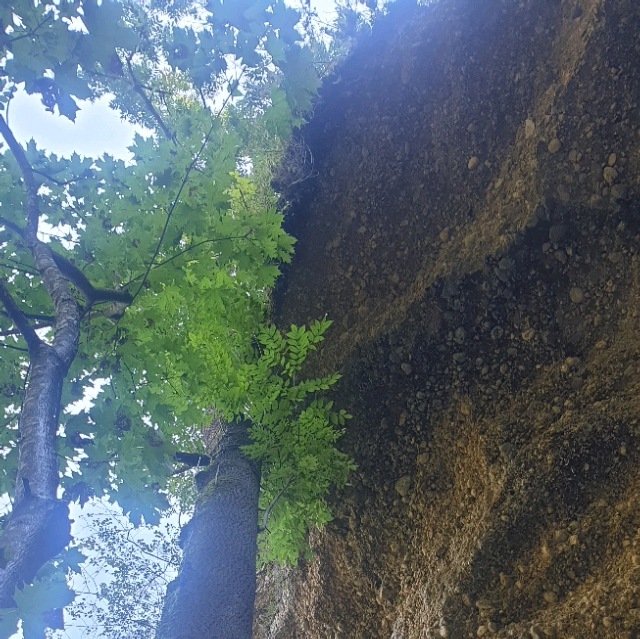 R.