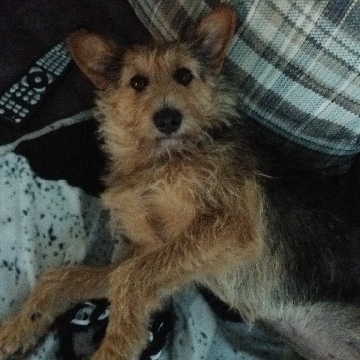 Sebastian