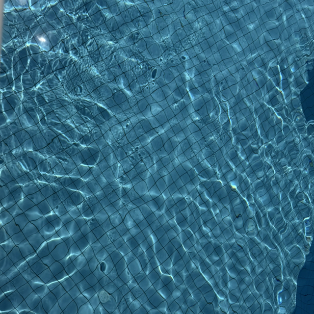 Elsi
