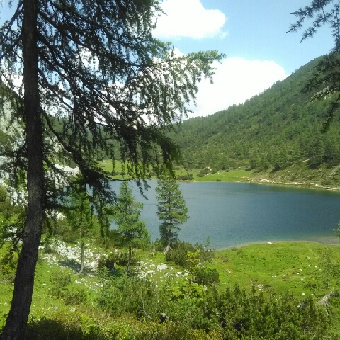 Verlässlich