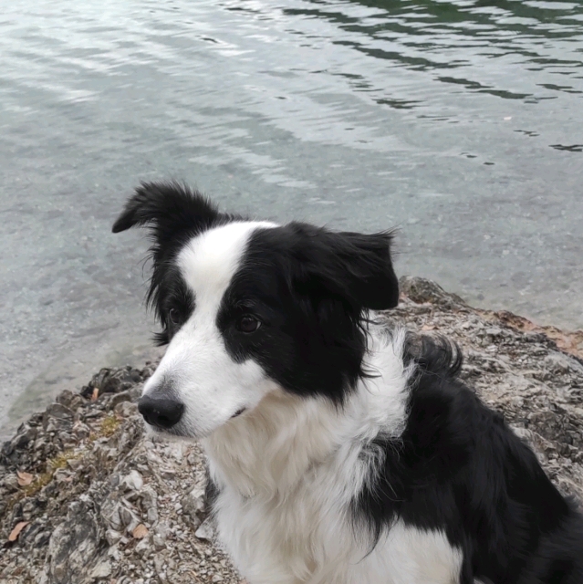 Birgit