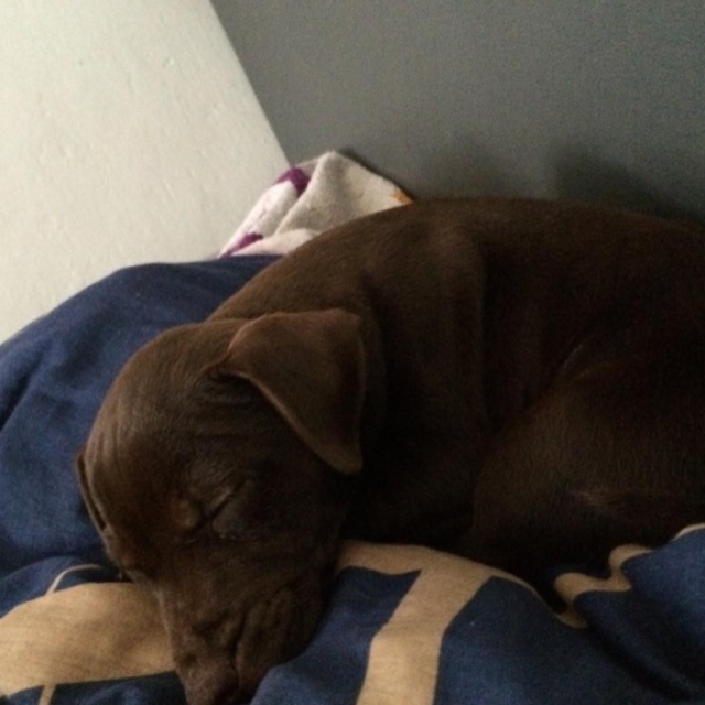 Lu