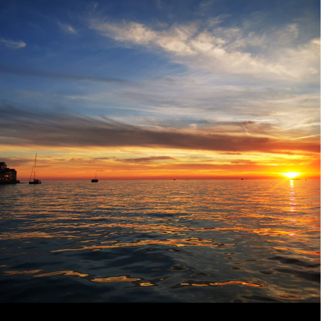 Daniel Tscherne