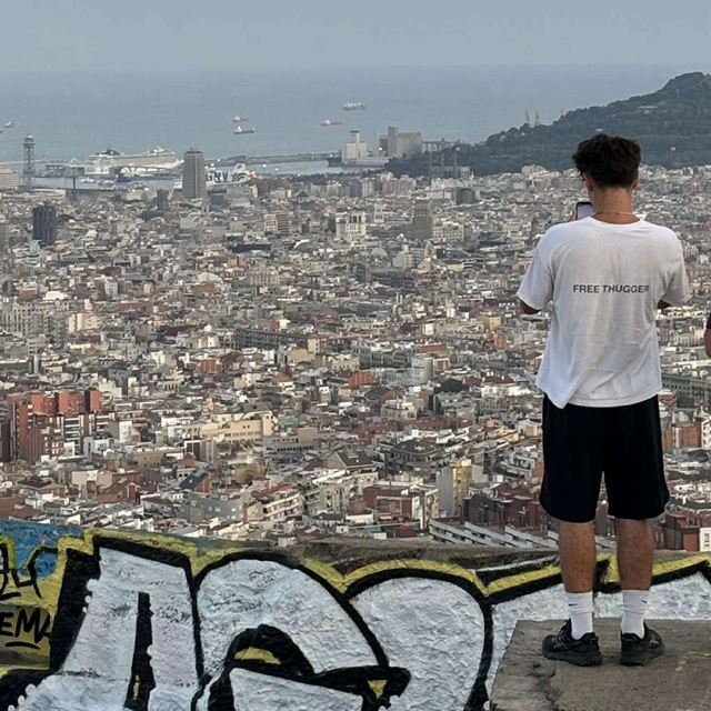 Lauri