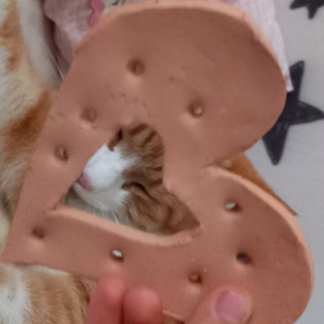 Doris