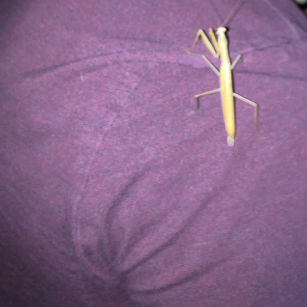 Christian