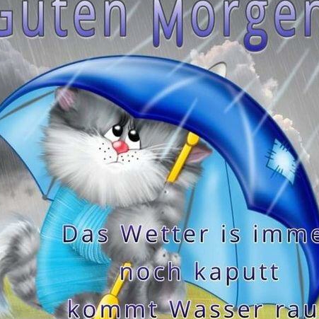 hansjörg