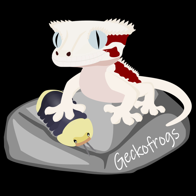 Geckofrogs