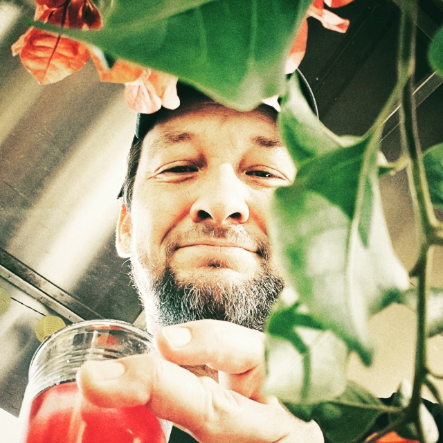 Robert Bauchinger