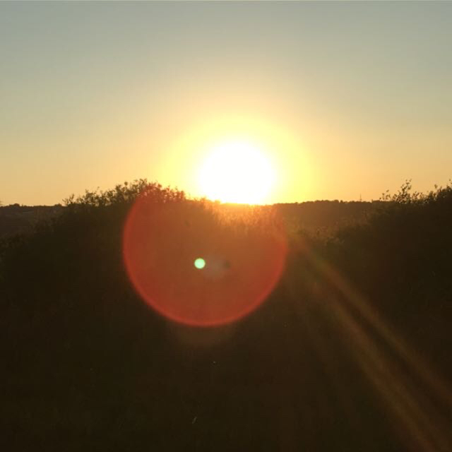 CM