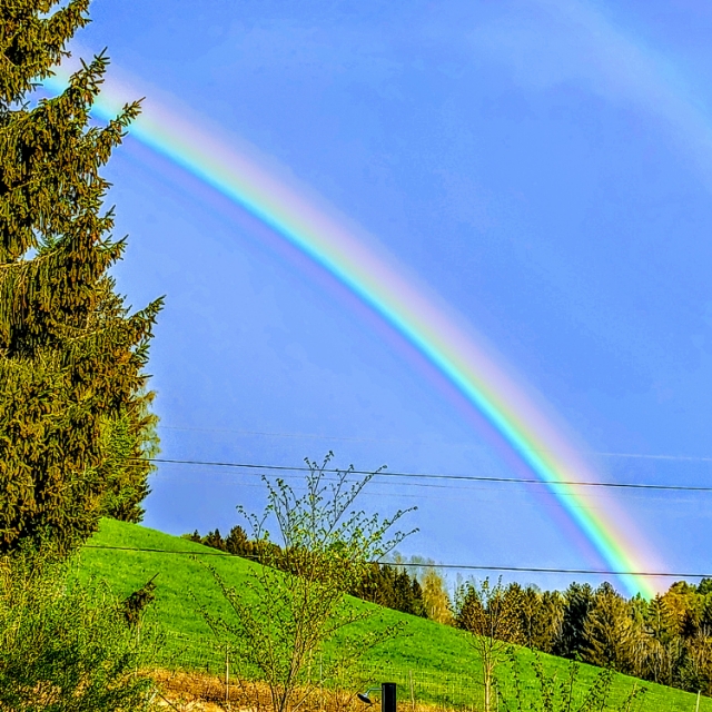Michaela