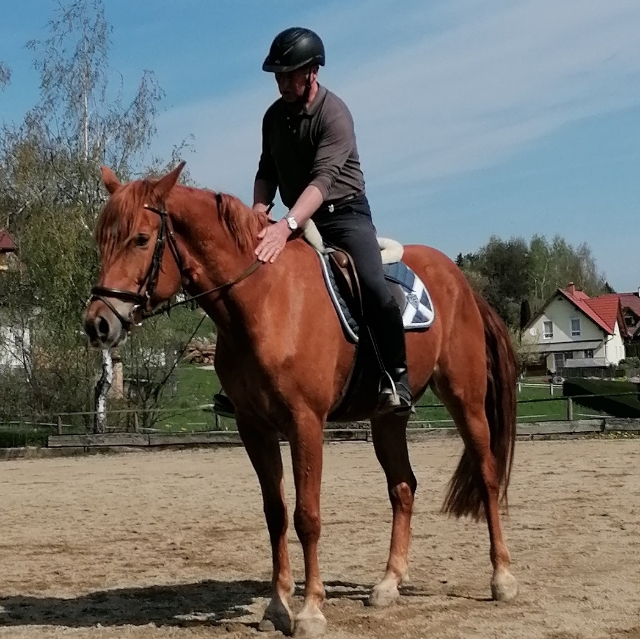 Conny
