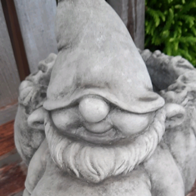 Dodo F.