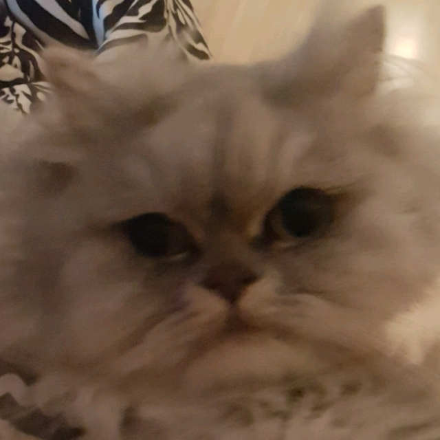Thomas