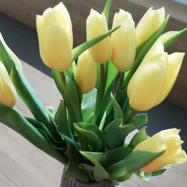 Birgit