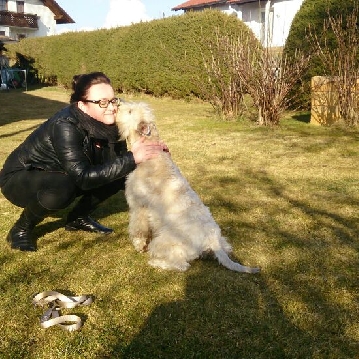Silke