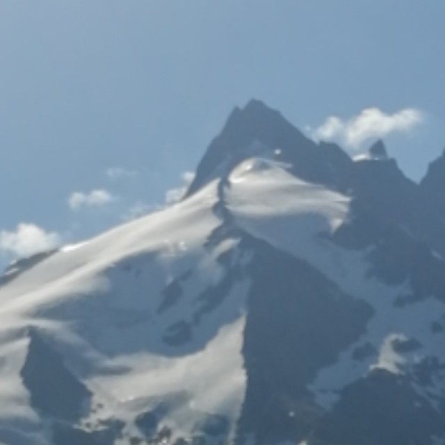 Martin