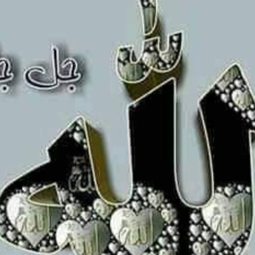 Ali Ali