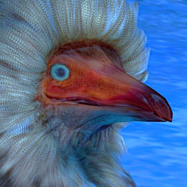 Kevin