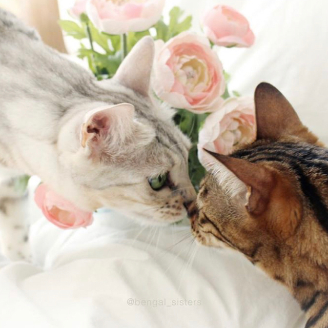Francesco & Bianca