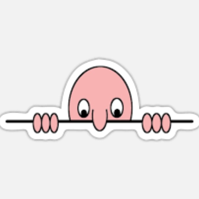 Mim