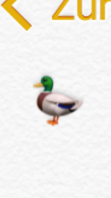 Felix