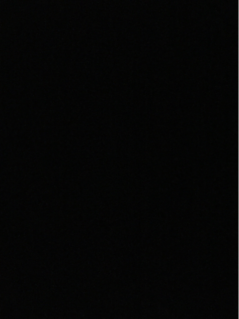 DS