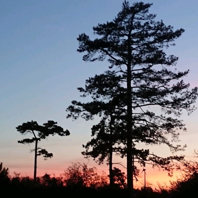 Petra
