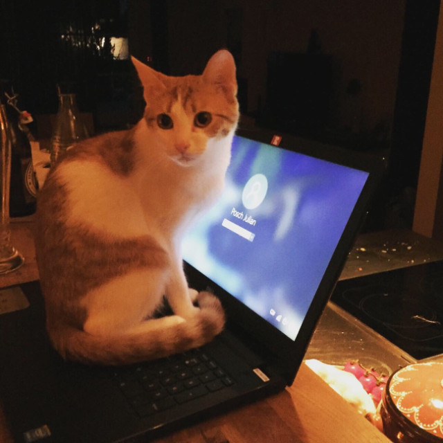 Julian