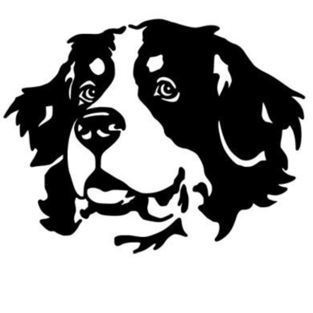 Berner Sennen vom Schildhof