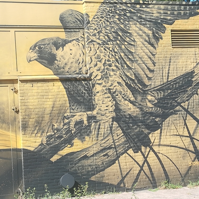 b. s.