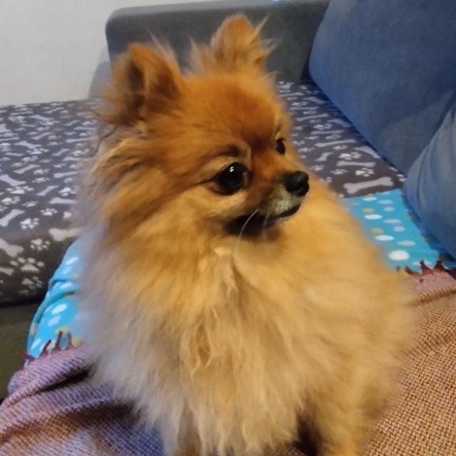 Rupert