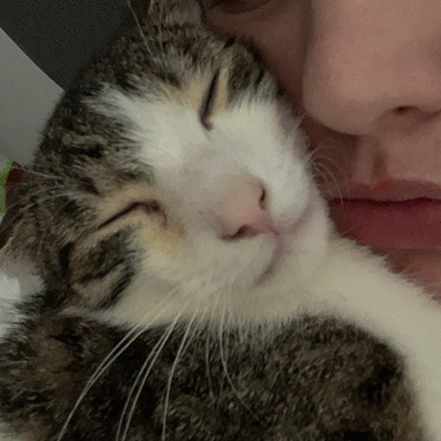 mimi