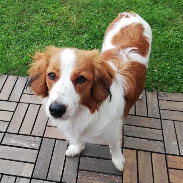 Günther