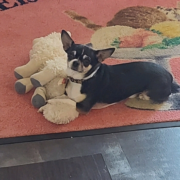 Charly