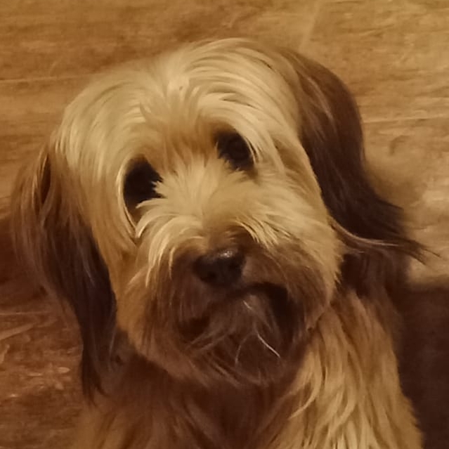 Jonas