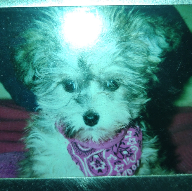 Jeany