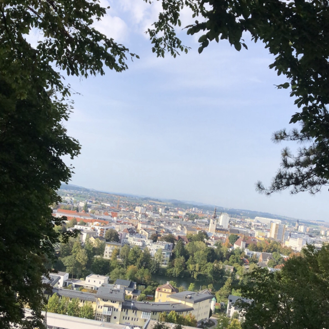 Bernhard