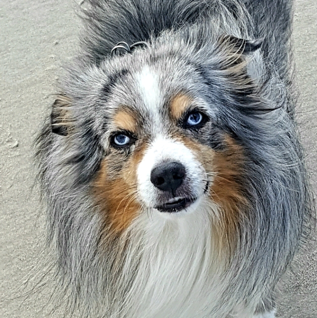 Sabine