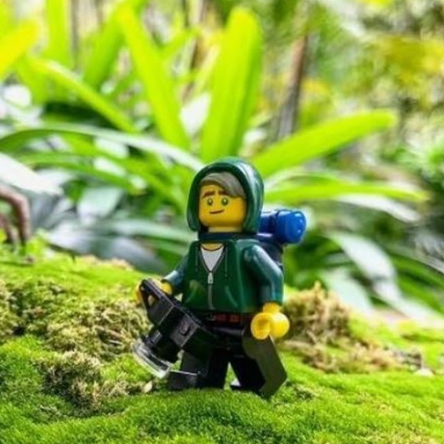 Lego Fan