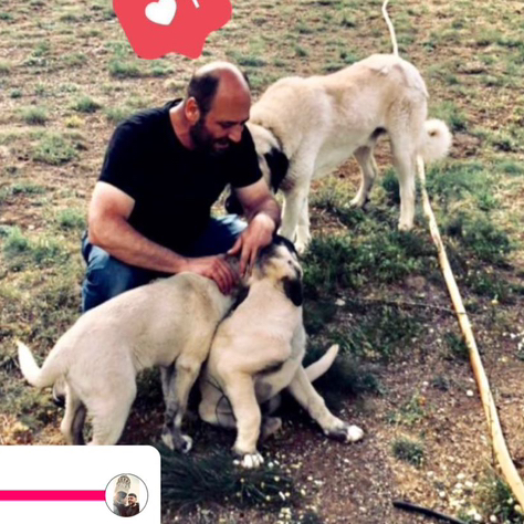 Ünal Yüca