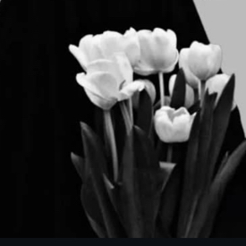 UmmAbdurahman