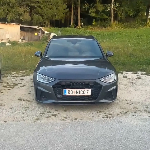 Nischo