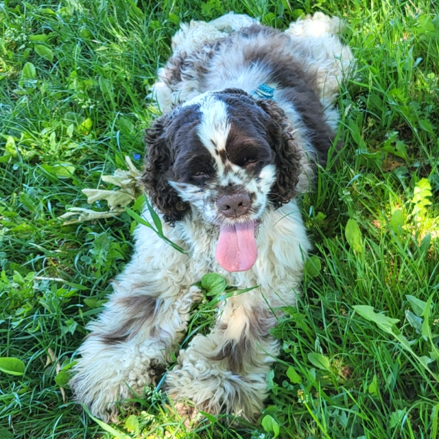 Charly